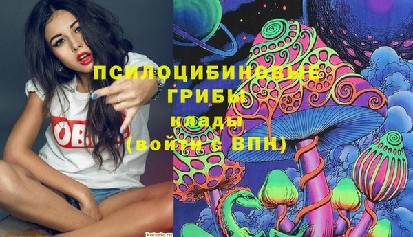 соль ск Абинск