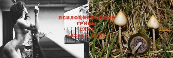 соль ск Абинск